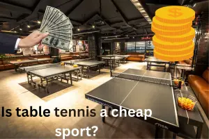 Is table tennis a cheap sport?