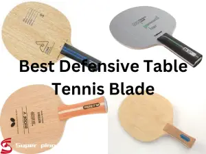 Best Defensive Table Tennis Blade
