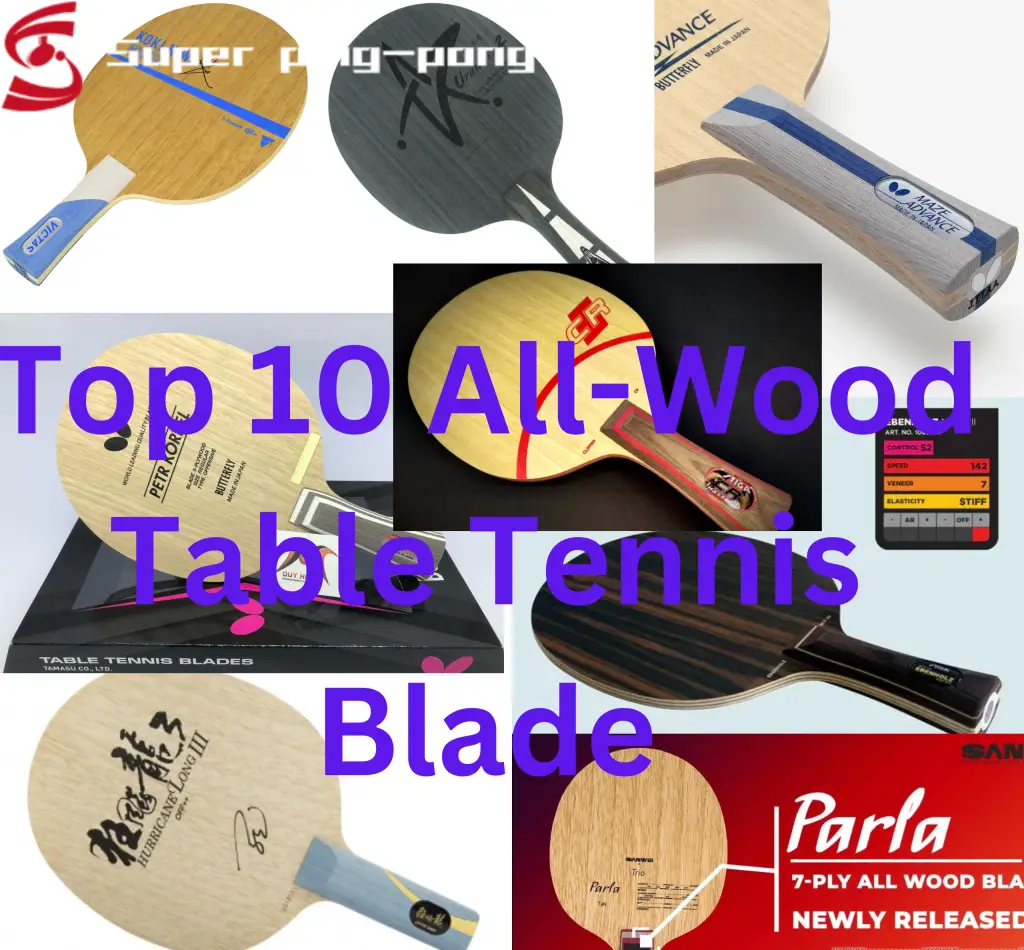 Top 10 Best All Wood Table Tennis Blade