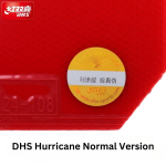 DHS Hurricane 3 (H3)