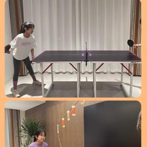 TIBHAR Mini Table Tennis Table
