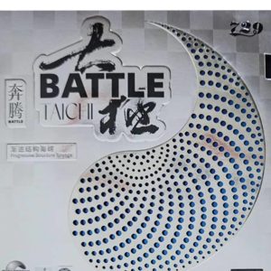 Friendship/729 Battle 2 Taichi