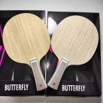 Butterfly Petr Korbel
