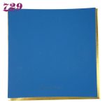 Friendship/729 Battle 2 National Blue Sponge