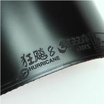 DHS Hurricane 8