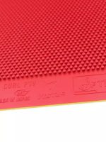 Victas Curl P1V