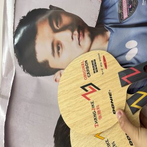 Donic Zhang Jike Original Carbon