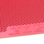 Victas Curl P2V