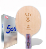 DHS TG 506A