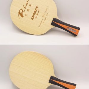 Palio ENERGY 01