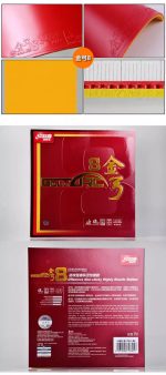 DHS Gold Arc 8