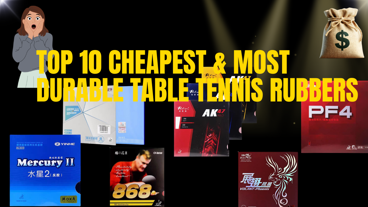Top 10 Cheapest and Most Durable Table Tennis Rubbers