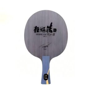 DHS Hurricane Hao 2