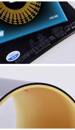 Friendship/729 Sky Wing