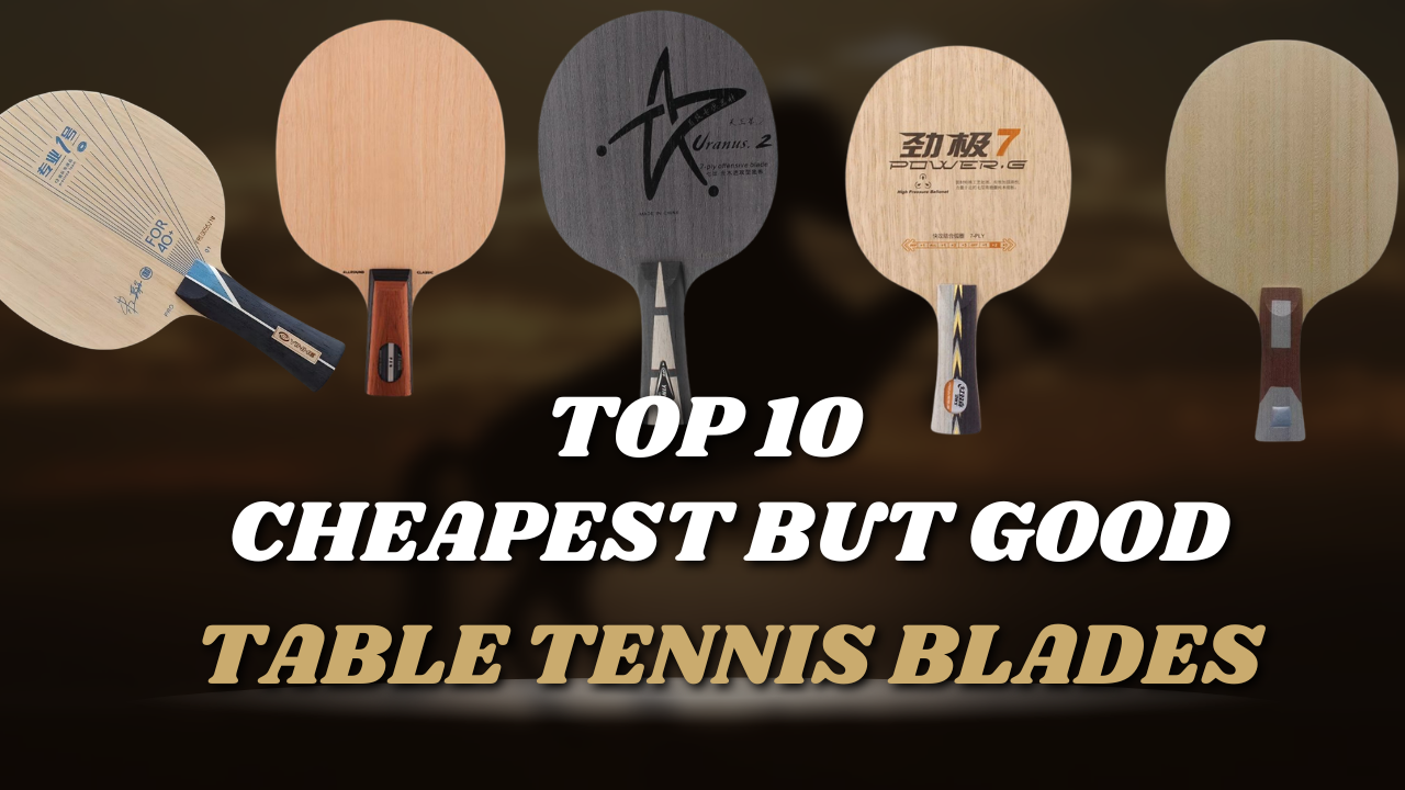 Top 10 Cheapest but Surprisingly Good Table Tennis Blades