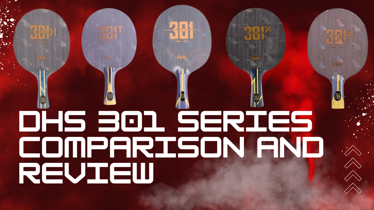 DHS 301 Series Comparison and Review