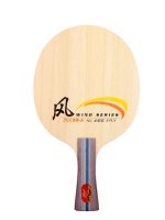 DHS Wind SR-A