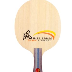 DHS Wind SR-A