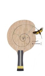 New Mango Table Tennis Blade