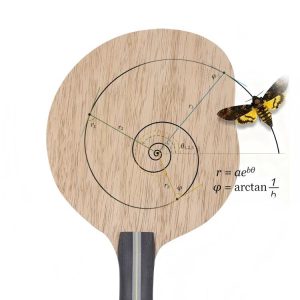 New Mango Table Tennis Blade