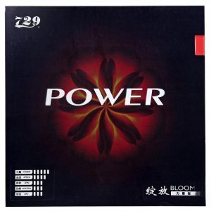 Friendship/729 Bloom Power