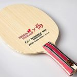 Butterfly Fan Zhendong ALC Borussia Düsseldorf Limited Edition