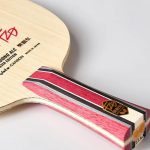Fan Zhendong ALC Borussia Düsseldorf Limited Edition