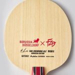 Fan Zhendong ALC Borussia Düsseldorf Limited Edition