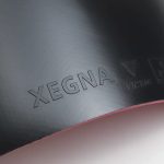 Victas Xegna