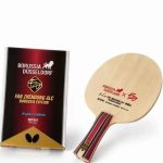 Fan Zhendong ALC Borussia Düsseldorf Limited Edition