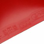 XIOM Vega China VM Table Tennis Rubber