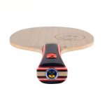 STIGA Carbonado 45 Zhu Yuling Special Edition